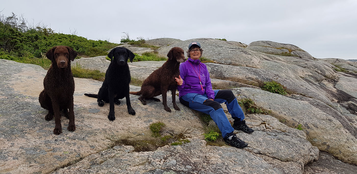 Loas fantastiske ferie i og i Norge sommeren 2019. Hunden Loa